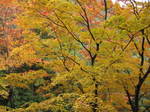08-aki-yoshino56.JPG