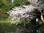09-sp-kyoto194.JPG