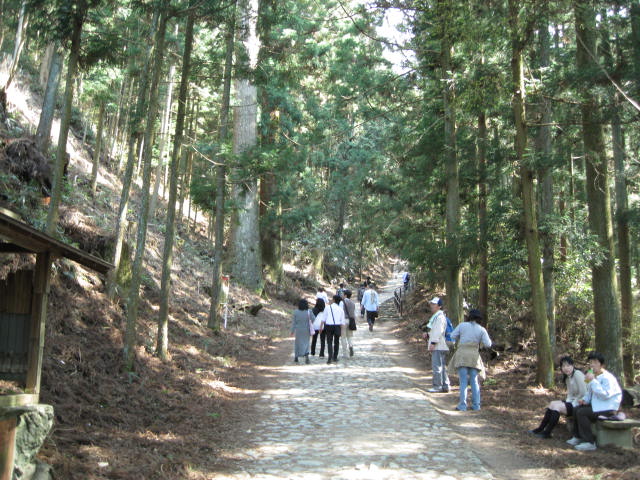 09-yoshino-sakura140.JPG