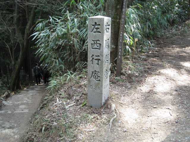 09-yoshino-sakura144.JPG