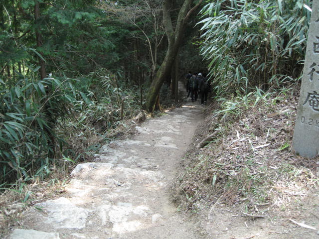 09-yoshino-sakura145.JPG