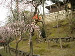 10-kita-ten-51.JPG