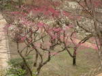 10-kita-ten-59.JPG