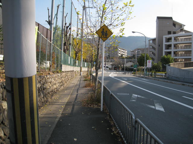 10-koyo-kyoto462.JPG