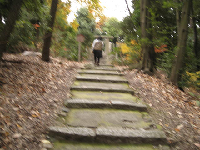10-koyo-kyoto706.JPG