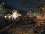 10-koyo-kyoto718.JPG