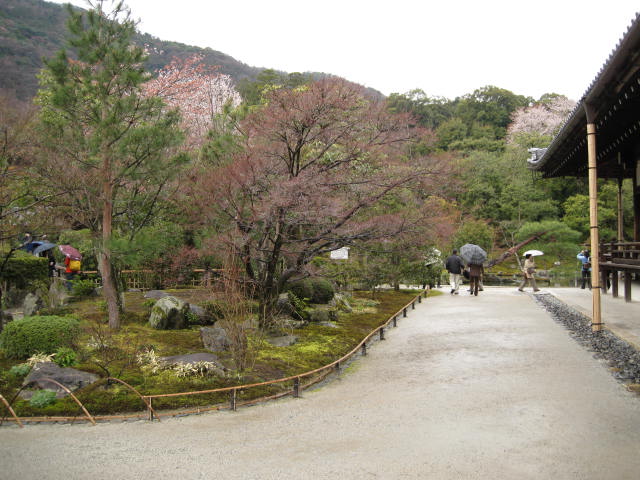10-sp-kyoto-22.JPG