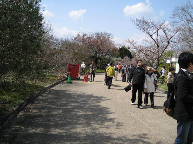 10-sp-kyoto-387.JPG