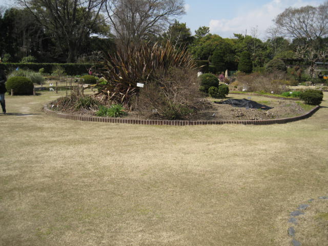 10-sp-kyoto-401.JPG