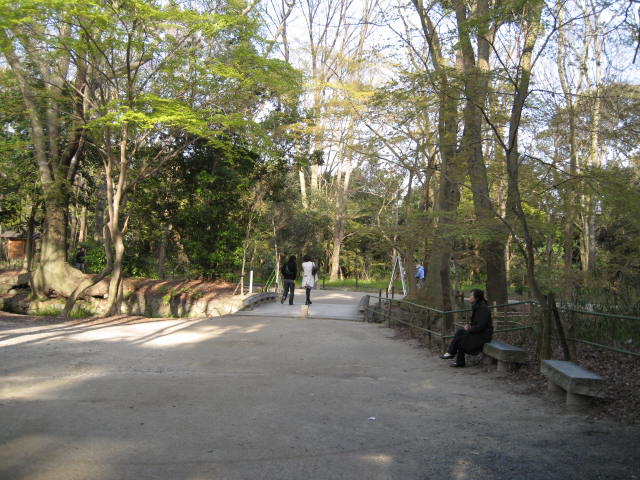 10-sp-kyoto-483.JPG