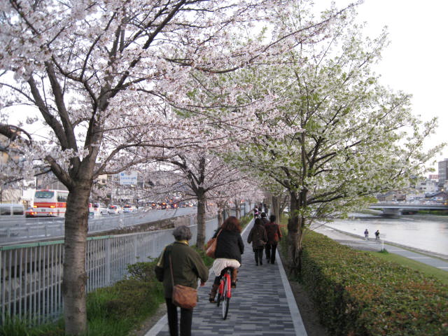 10-sp-kyoto-522.JPG