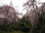 10-sp-kyoto-53.JPG