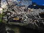 10-sp-kyoto-542.JPG