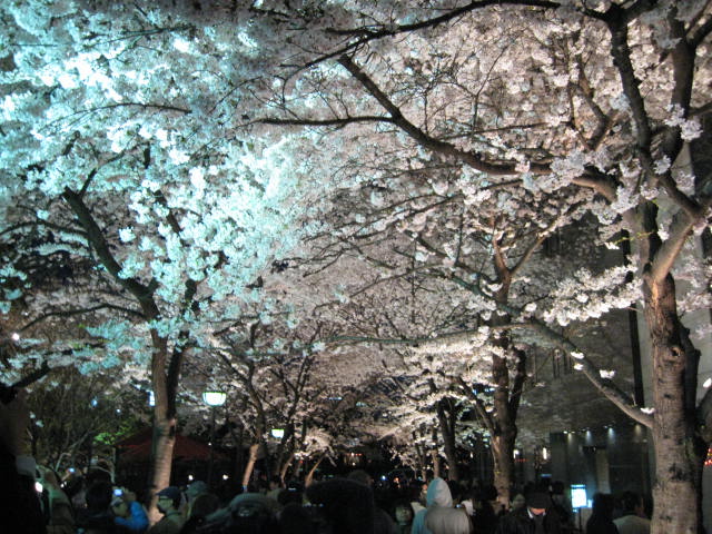 10-sp-kyoto-553.JPG