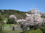 10-sp-kyoto-772.JPG