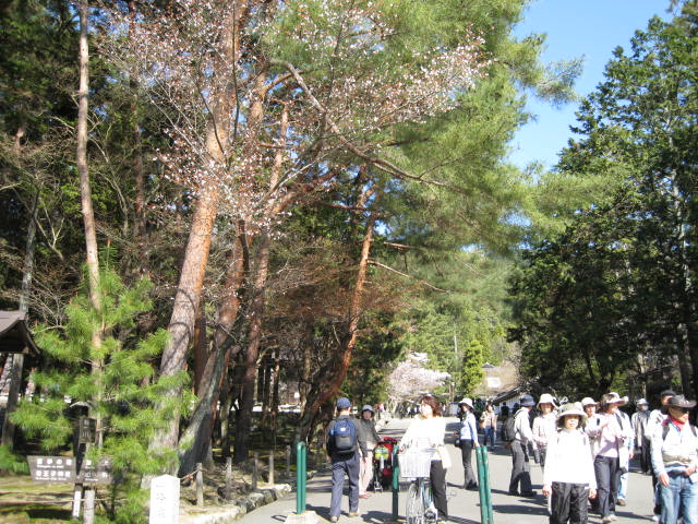 10-sp-kyoto-784"