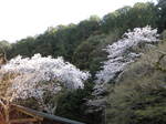 10-sp-kyoto-813.JPG
