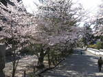 10-sp-kyoto-818.JPG