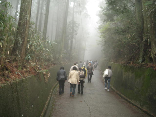 10-sp-yoshino64.JPG