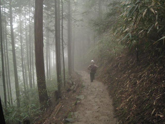 10-sp-yoshino69.JPG