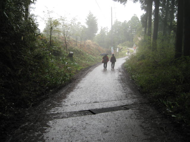 10-sp-yoshino81.JPG