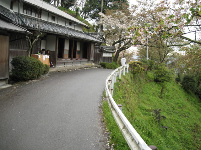 10-sp-yoshino99.JPG