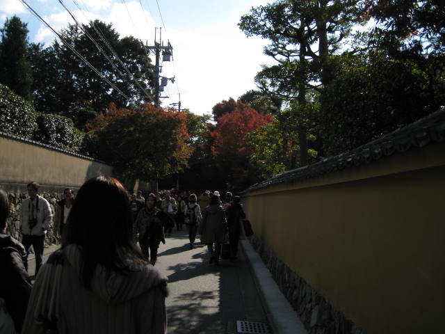 11-koyo-kyoto5.JPG