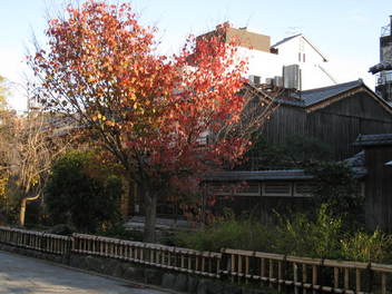 11-koyo-kyoto52.JPG