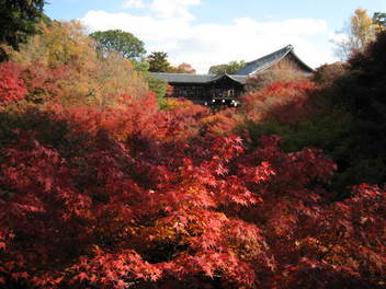 11-koyo-kyoto7.JPG