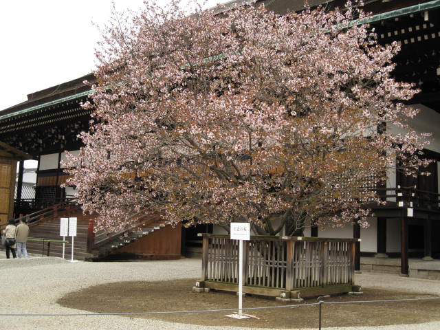 11-sp-kyoto473.JPG