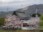 11-sp-kyoto536.JPG