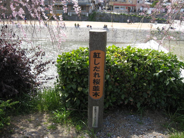 11-sp-kyoto539.JPG