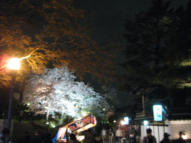 11-sp-kyoto647.JPG