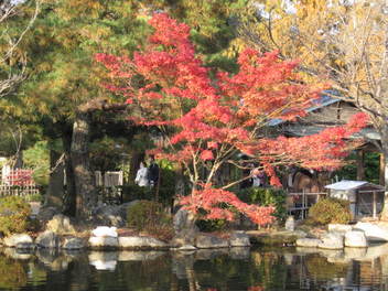 12-koyo-kyoto114.JPG