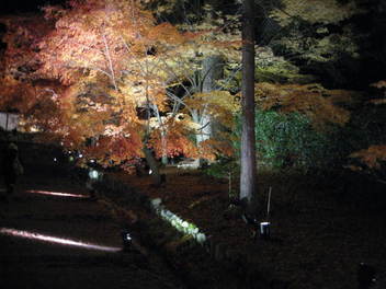 12-koyo-kyoto128.JPG