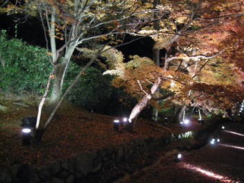 12-koyo-kyoto129.JPG