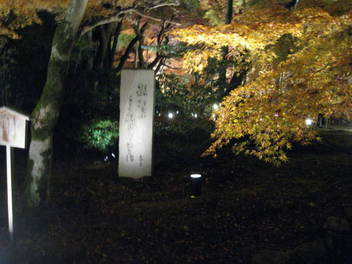 12-koyo-kyoto131.JPG
