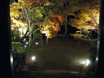 12-koyo-kyoto132.JPG