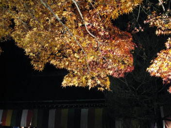 12-koyo-kyoto133.JPG