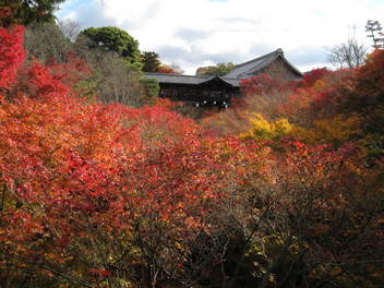12-koyo-kyoto138.JPG