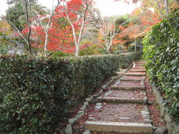 12-koyo-kyoto241.JPG