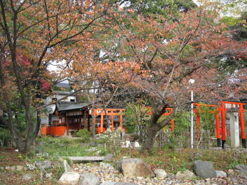 t12-koyo-kyoto39.JPG