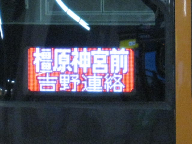 12-sakura-kyoto141.JPG