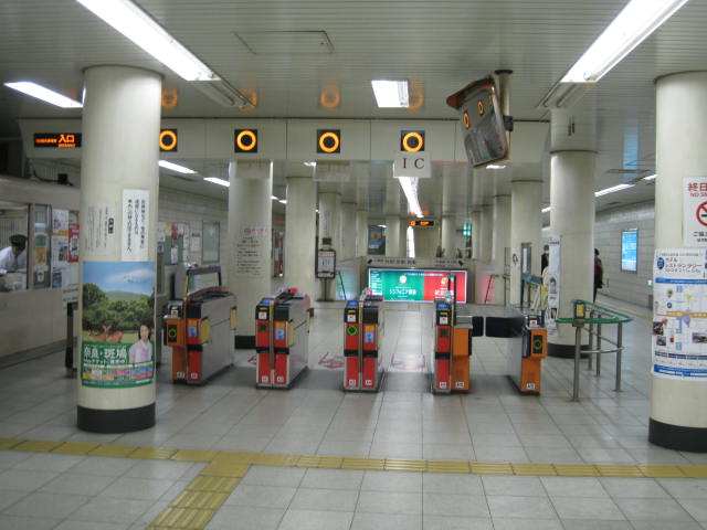 12-sakura-kyoto15.JPG