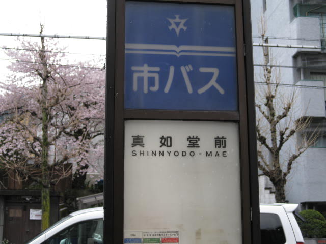 12-sakura-kyoto18.JPG