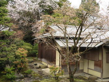 12-sakura-kyoto32.JPG