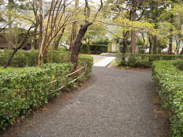 12-sakura-kyoto34.JPG