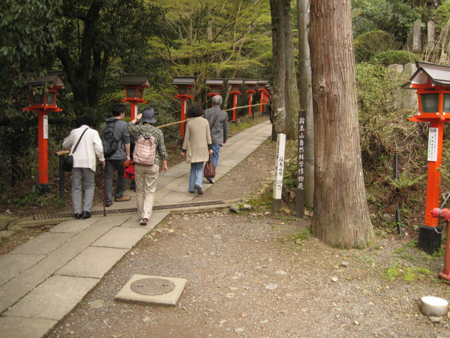 12-sakura-kyoto419.JPG