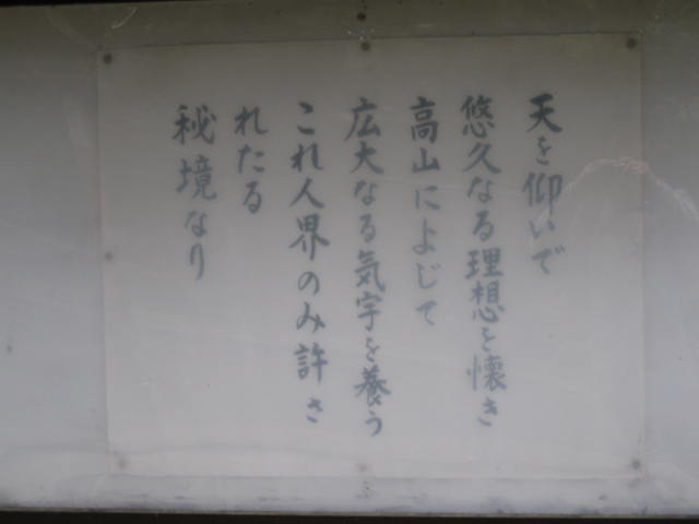12-sakura-kyoto427.JPG