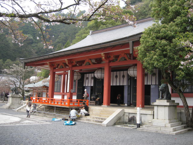 12-sakura-kyoto433.JPG